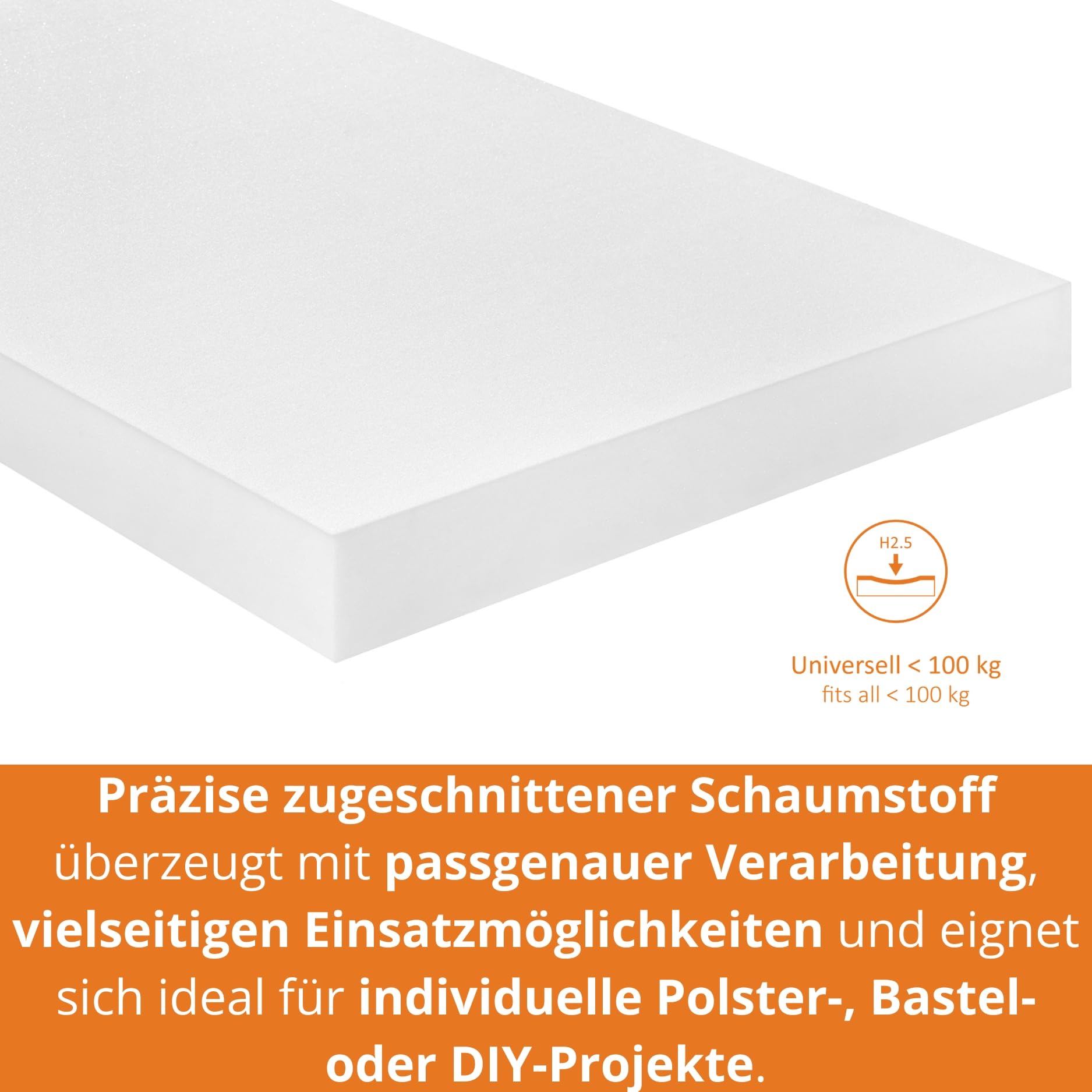 Sleepling Schaumstoffplatte 120x80x10 cm RG24 kg Polster Zuschnitte Campingmatratze Made in EU