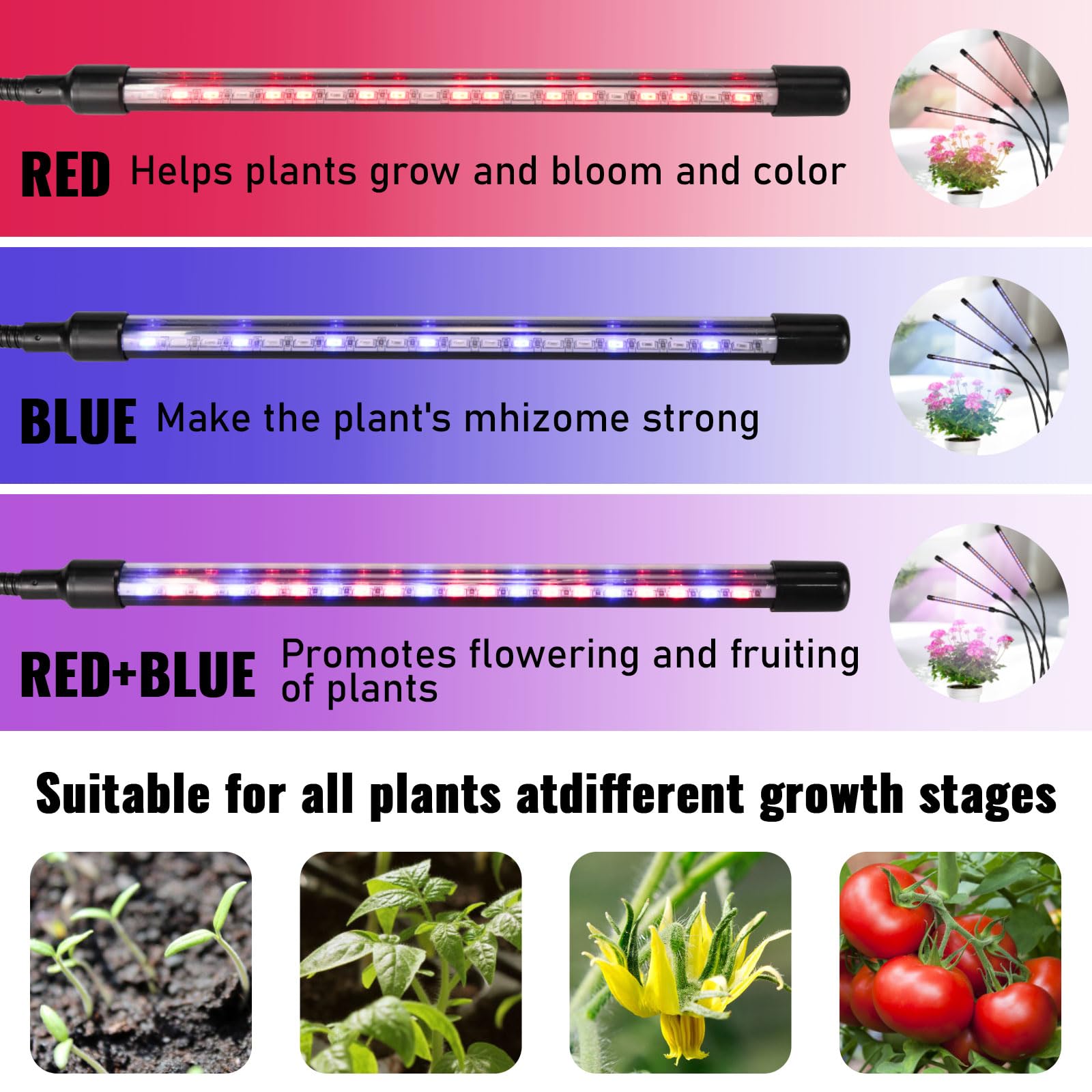 Pflanzenlampe LED, Pflanzenlicht 80 LEDs, Wachstumslampe für Pflanzen, 4000K Pflanzenleuchte, Grow Light mit 10 Helligkeit, 3 Lichtmodi, 4 Köpfe，Wachstumslampe mit automatischem ON/OFF 4/8/12H Timer
