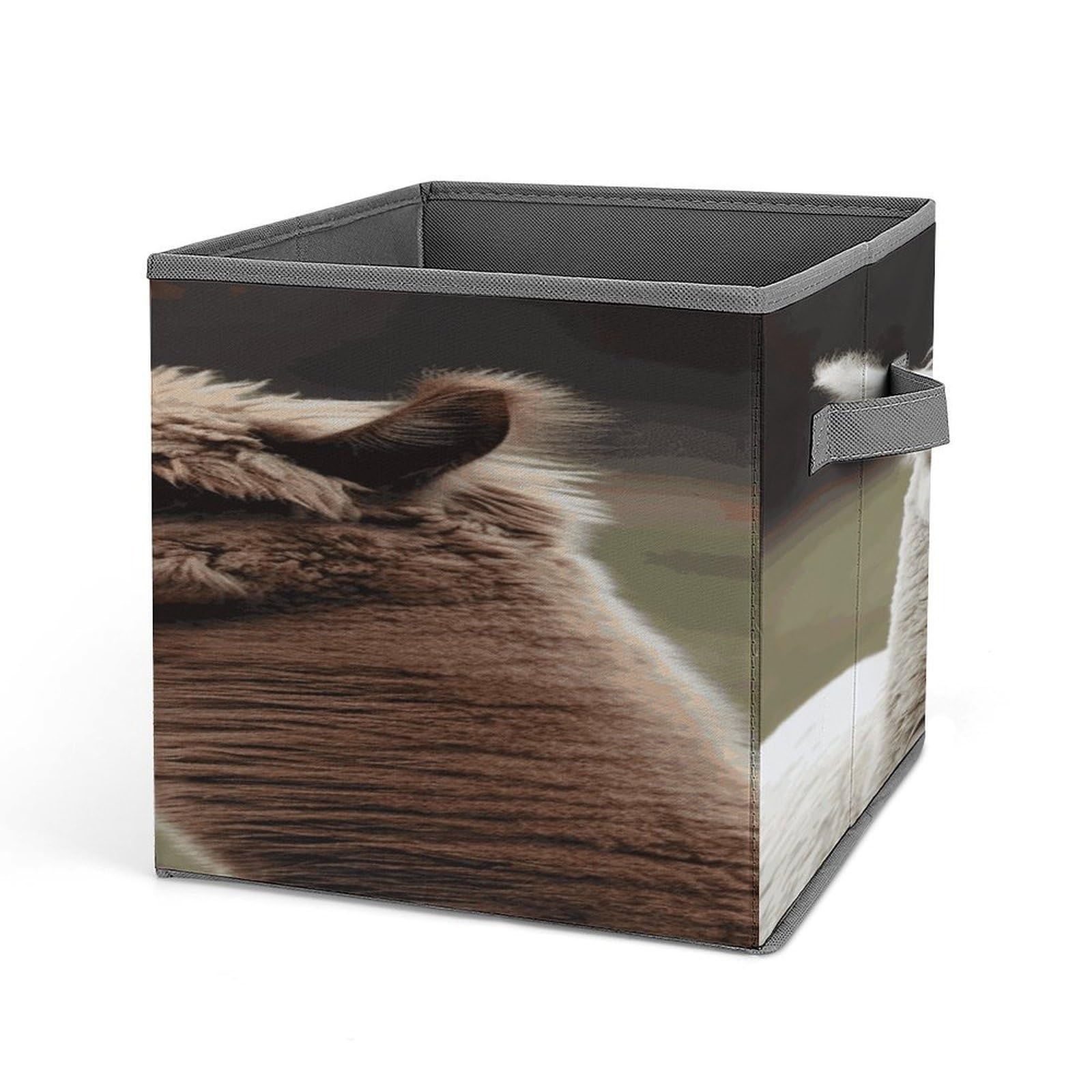 Fekiloot Style Funny Alpaca Storage Bins Storage Baskets