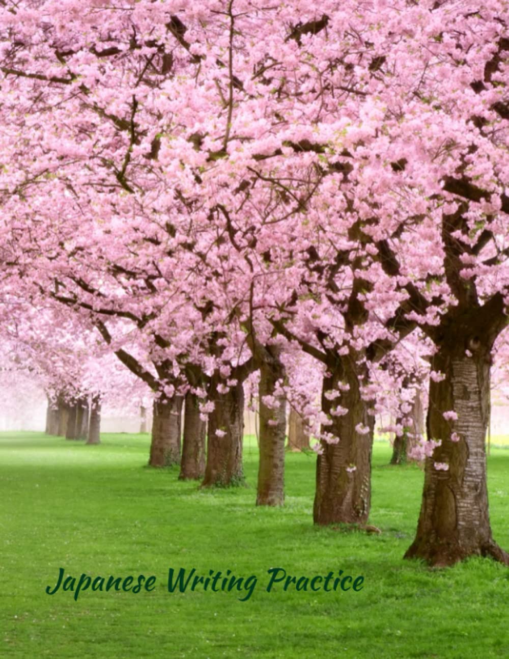 Buy Genkouyoushi Japanese Kanji Practice Cherry Blossom Theme