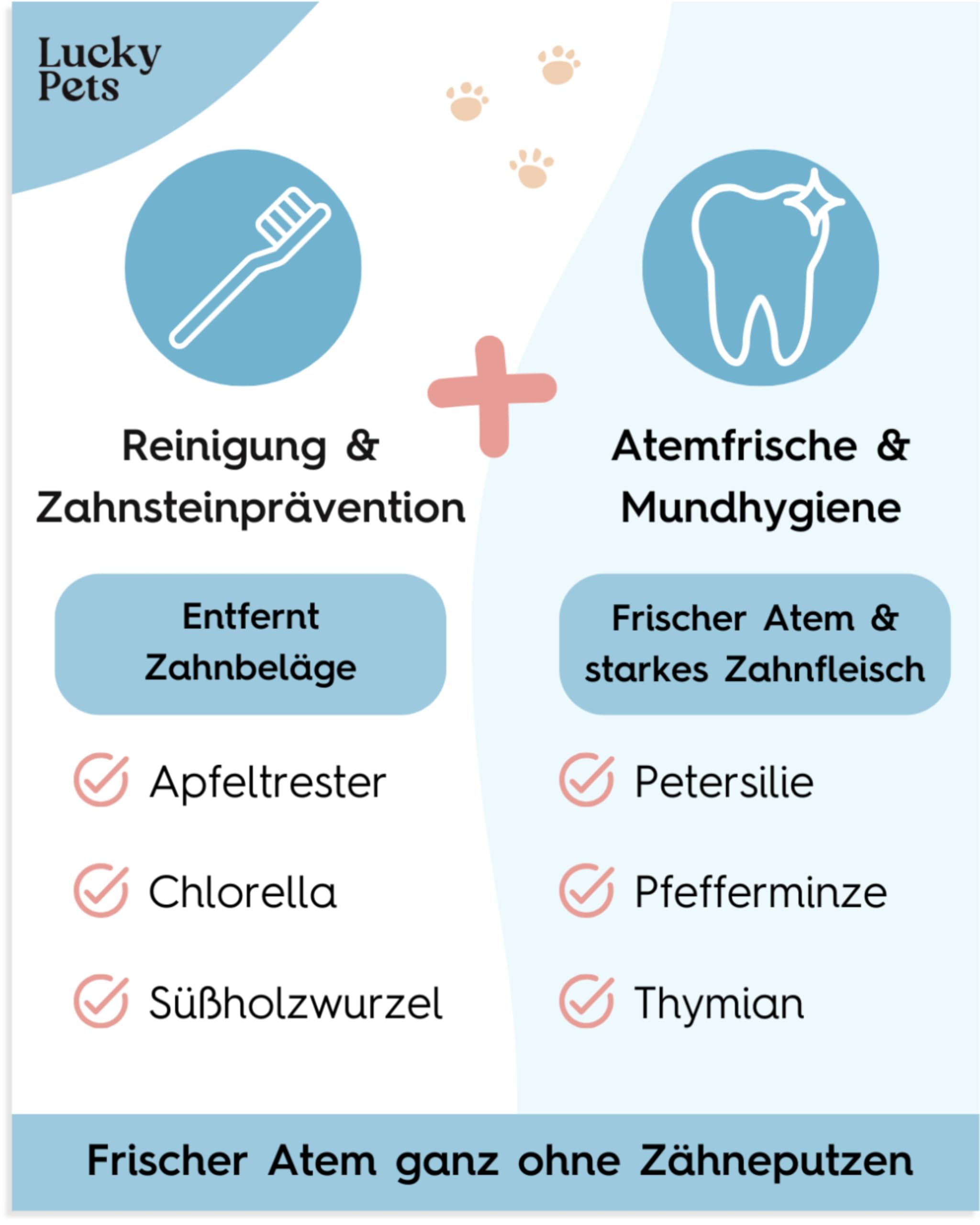 Zahnpflege Pulver für Hunde 250 g – Hunde Zahnsteinentferner und Mundgeruch-Stopper – 100% natürliche Zahnreinigung ohne Zahnbürste – Made in Germany – Zahnpflege Hund