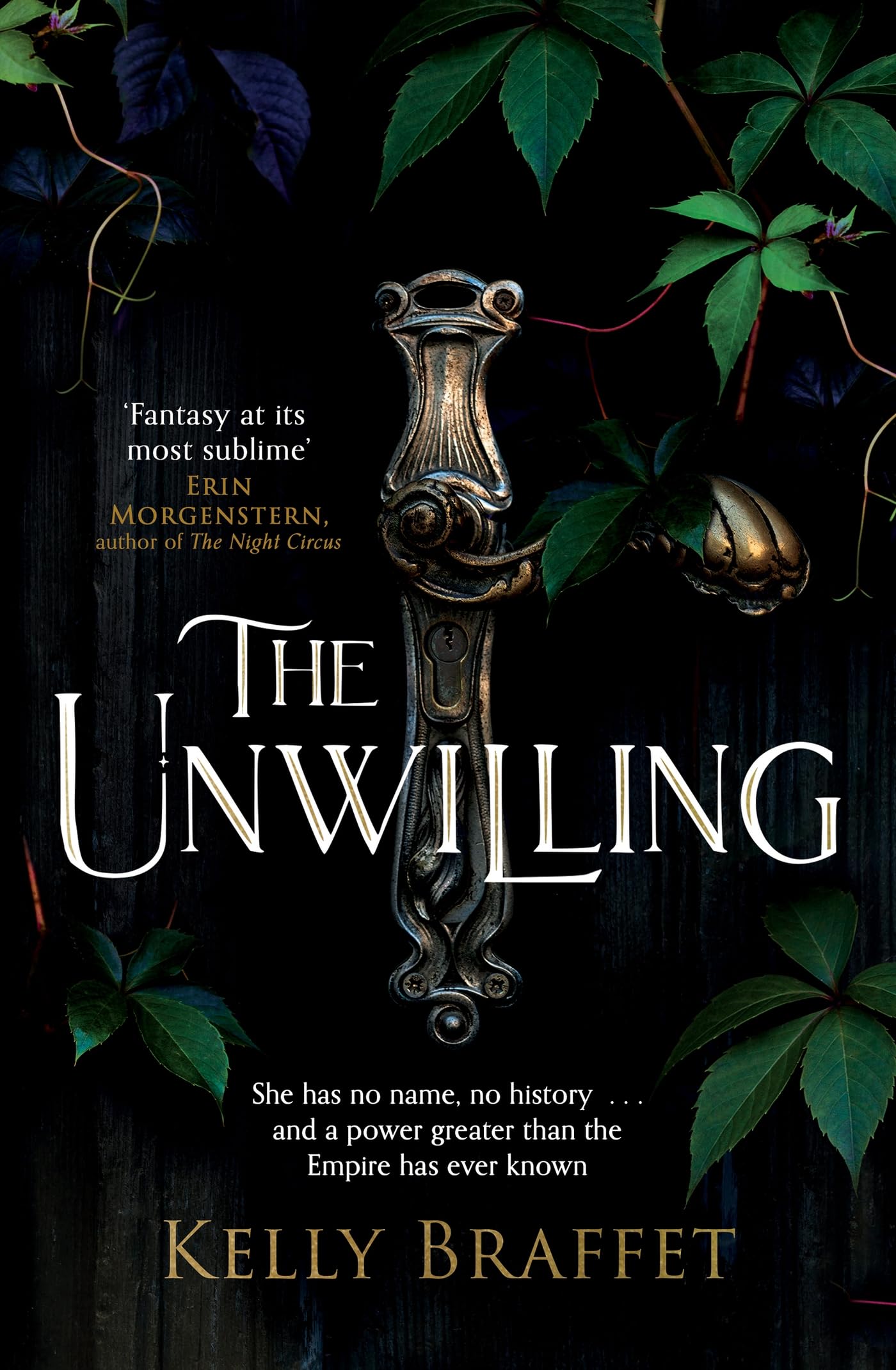 The Unwilling: A dazzling epic fantasy duology for readers of Samantha Shannon and Leigh Bardugo (The Barrier Lands)