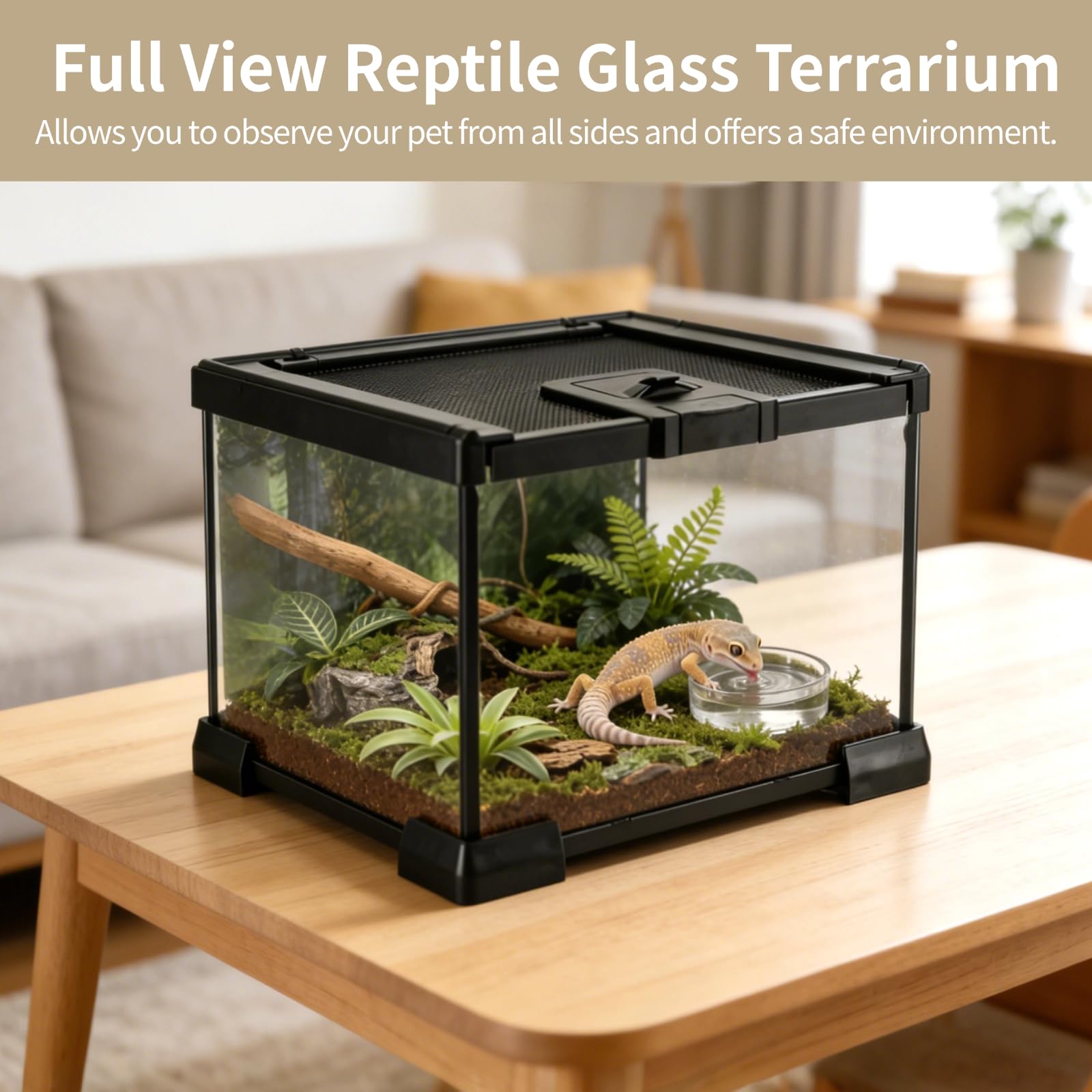 Mini-Reptilien-Glasterrarium 7,9 x 7,9 x 5,7 Zoll, Vollsicht-Regenwald-Vivarium, stapelbares Gehege für Schildkröten, Geckos, Frösche, Einsiedlerkrebse, Keine Montage erforderlich