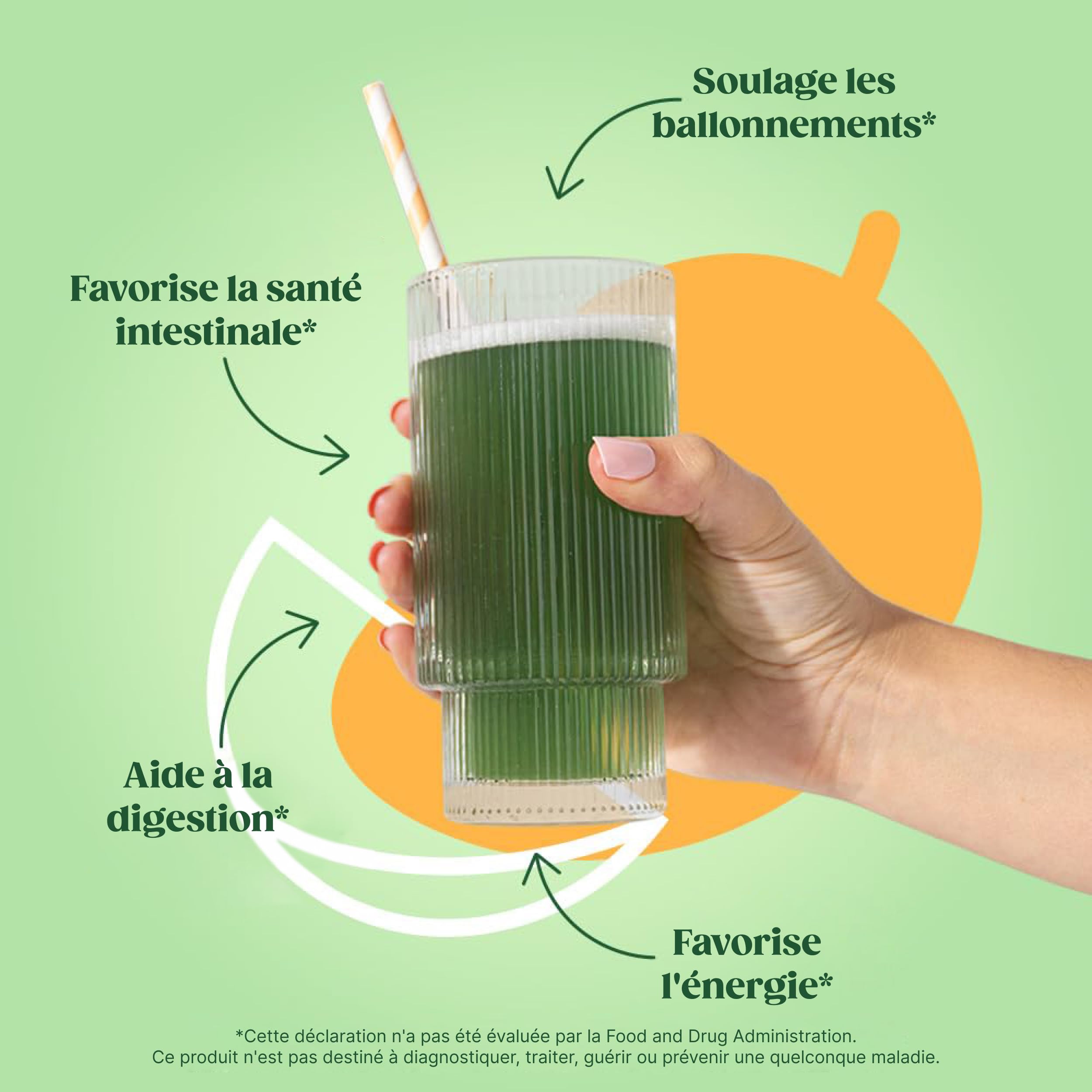 Bloom Superfood Powder Women - mangue - Avec probiotiques, enzymes, spiruline, chlorella - Favorise la santé intestinale, la désintoxication et l'énergie - Anti-bloating - 25 portions - Smoothie Boost