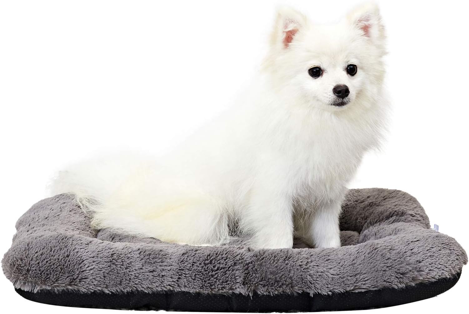 Puppy Dog Bed Small Dogs, Washable Dog Crate Bed Cushion, Dog Crate Pad Small Dogs 24 INCH