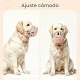 Ver la foto 5