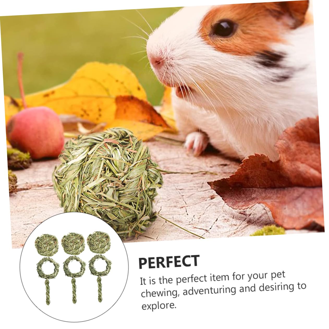 SUPVOX 18pièces Jouets Molar Herbe Naturelle pour Rongeurs Jouets à Mâcher pour Cobayes Chinchillas Et Petits Animaux