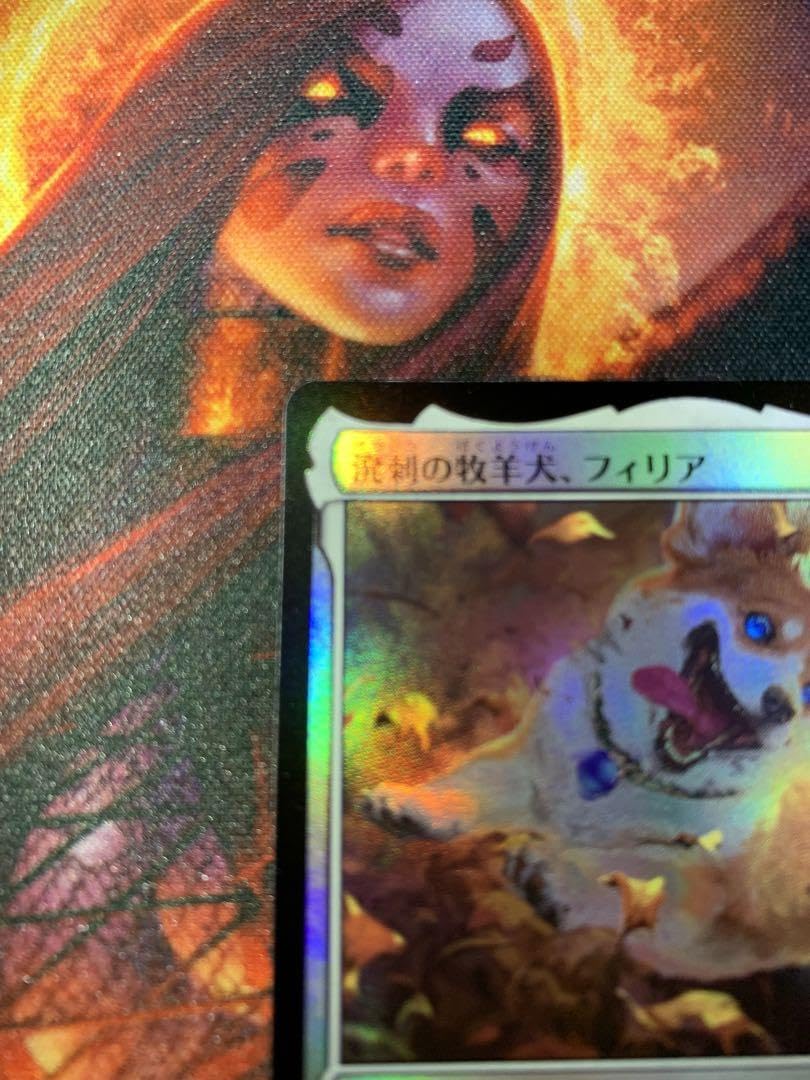 Amazon.co.jp: MTG 溌剌の牧羊犬、フィリア プレイブースター版 foil 