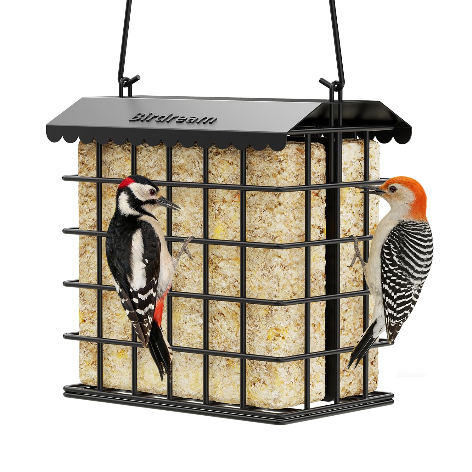 Birdream Double Suet Bird Feeder