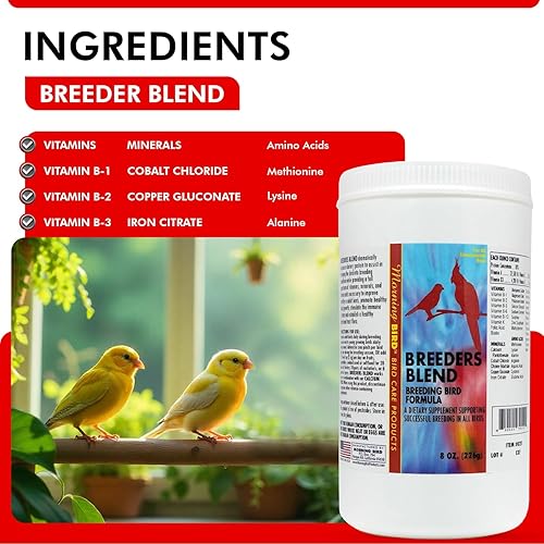 Morning Bird Breeders Blend 0.5 oz – Protein Supplement for Birds – Supports Breeding, Chick Growth, Muscle Development & Immune Support – Daily Vitamin Blend for Strong Bones & Overall Health(8 Ounces)
