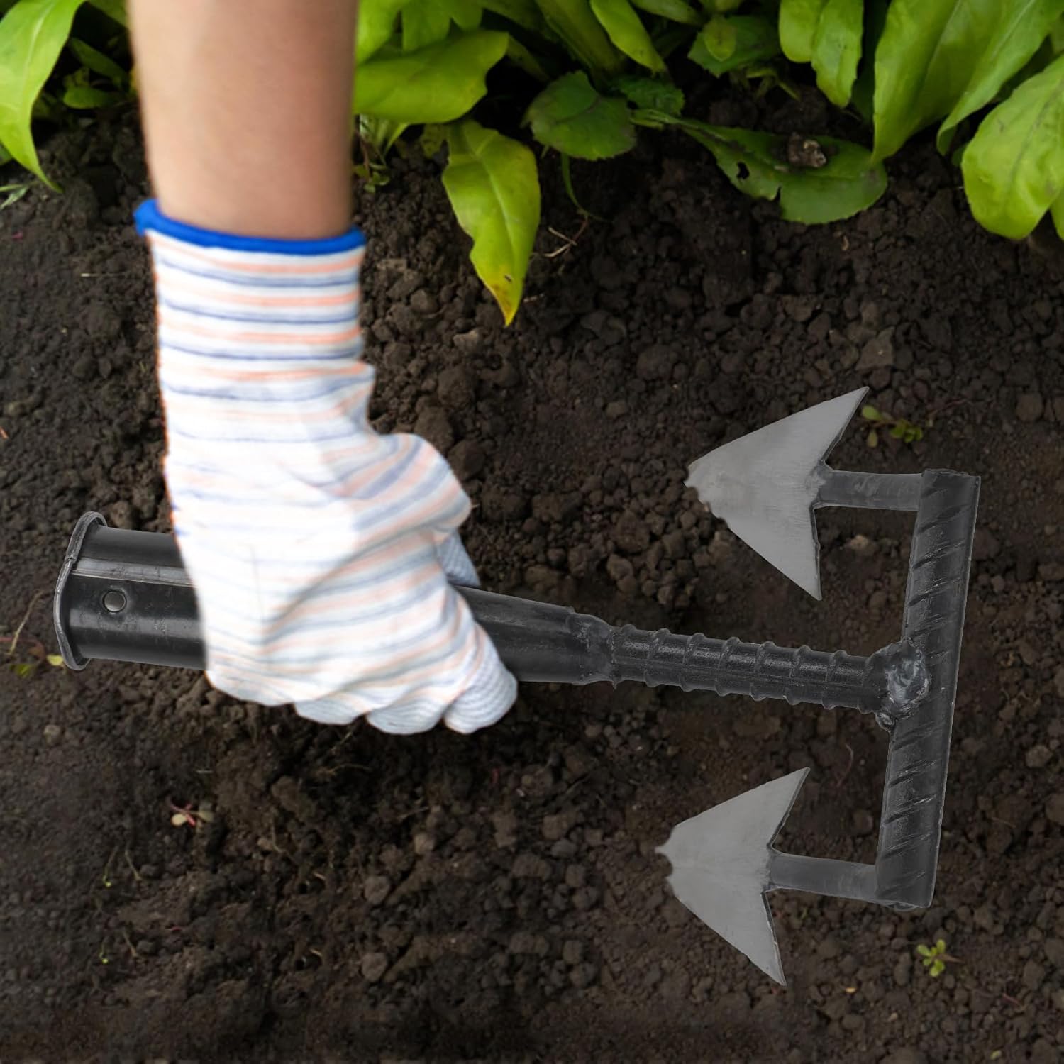 Ciieeo Triangle Hoe Soil Digging Tool with 2-Tine Trenching Fork for Garden Weeding and Land Clearing, Manual Manuring and Soil Loosening Hand Hoe for Outdoor Gardening
