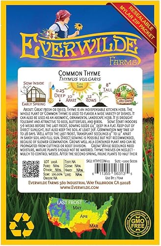 Miniatura 2 de everwilde explotacionesTomillo Común zacate semillasEl oro Vault