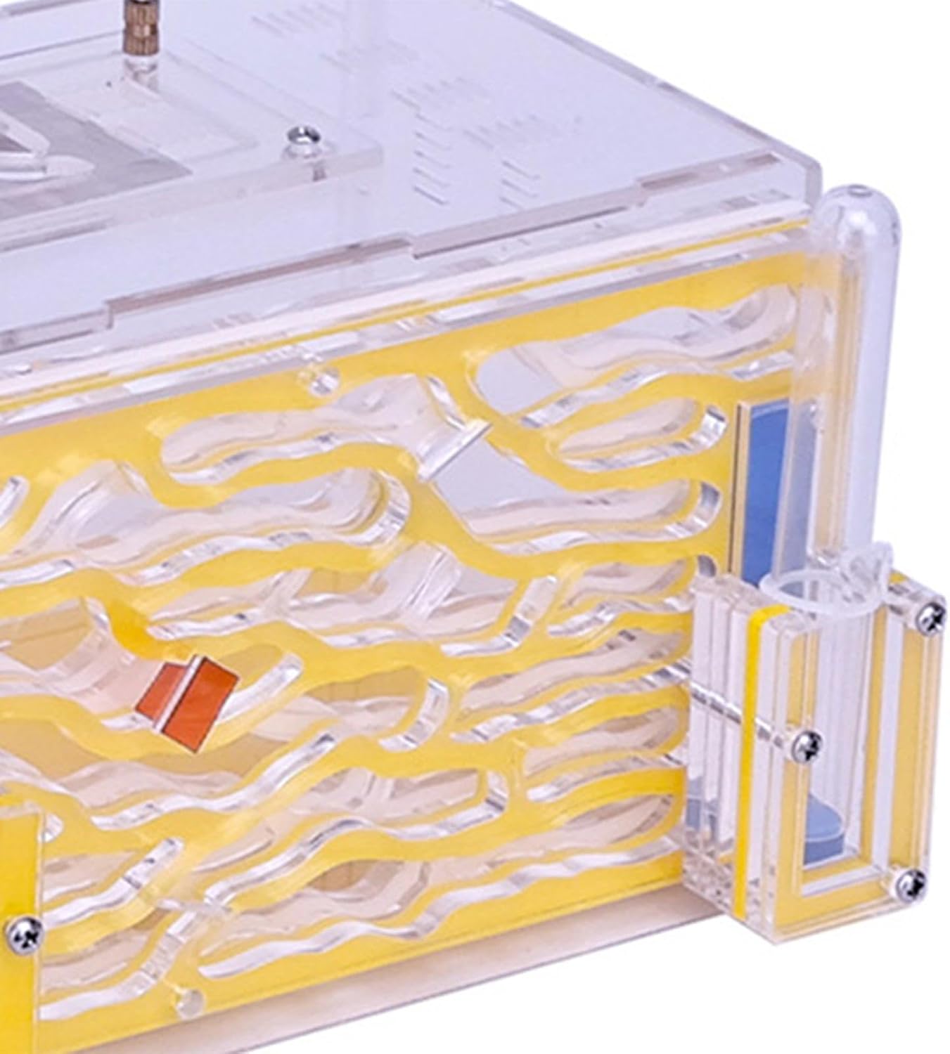 MERISHOPP® ANT Housing Nest with Feeder DIY ANT Breeding Case for Lovers Decor Birthday Yellow | Pet Supplies | Small Animal Supplies | Beds Hammocks & Nesters