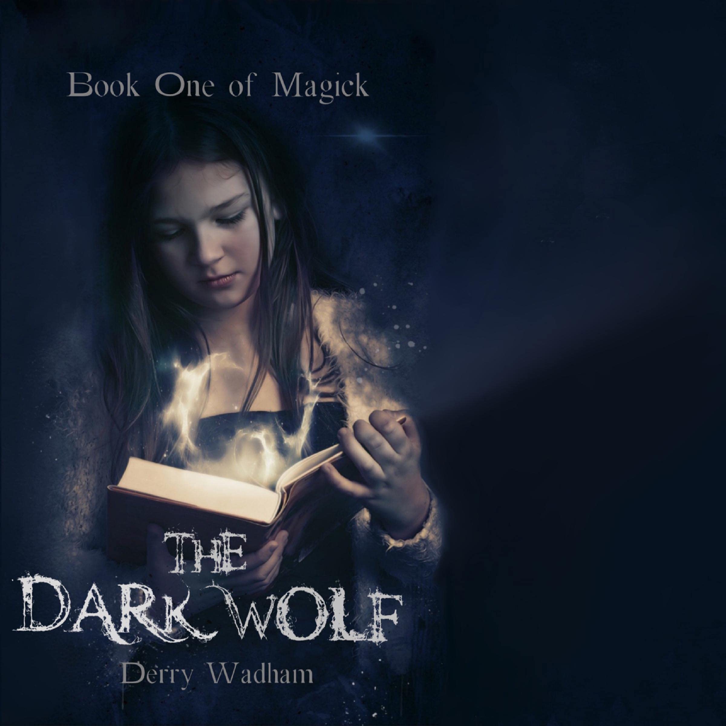 Cover art for The Dark Wolf