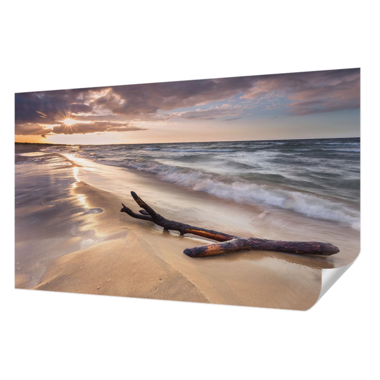 Revêtement mural autocollant résistant aux taches 416x254 cm plage ouest