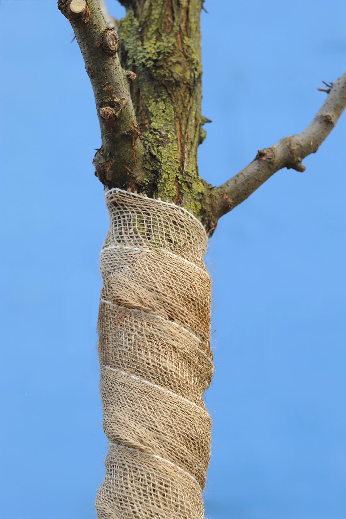 La Cordeline - Cinta de arpillera natural, 20 cm, rollo de 18 metros, para manualidades, decoración, jardinería