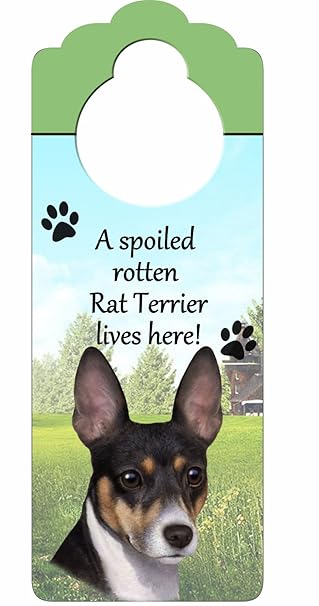 Rat Terrier Wood Sign A Spoiled Rotten Rat Terrier Lives Here with Artistic Photograph Measuring 10 by 4 Inches Can Be Hung On Doorknobs Or Anywhere in Home