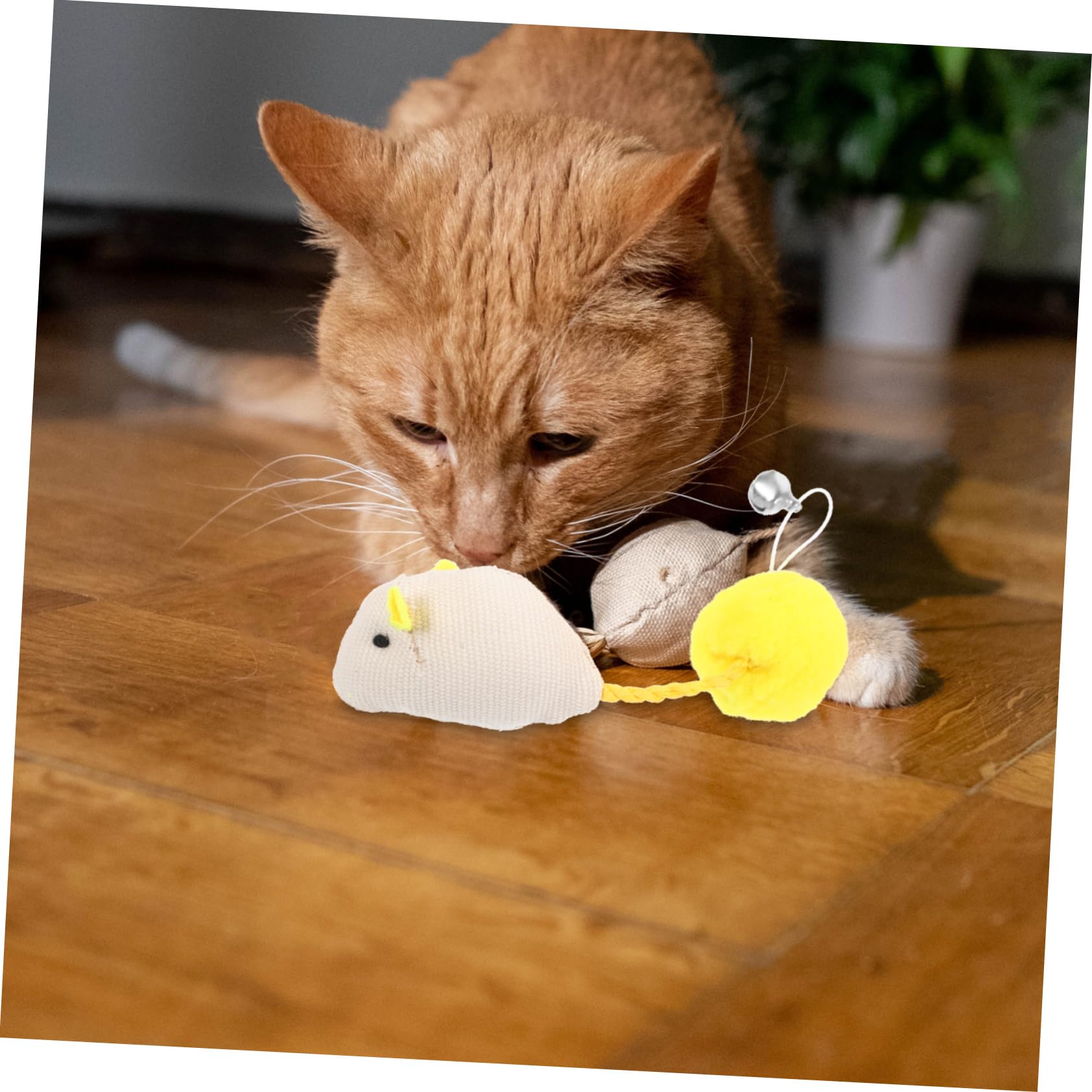 Toddmomy 6pièces Jouet Souris pour Chat Peluche Lot de Jouets Interactifs pour Chat Et Chaton avec Clochette pour Chasser Et Mordre