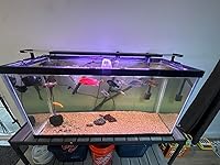 Review Image by Cole selman Cole selman