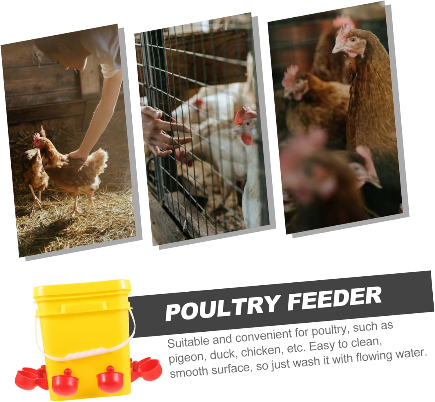 Multi-Functional Feeder Chick Feeder Easy to Clean Design Chicken Supplies