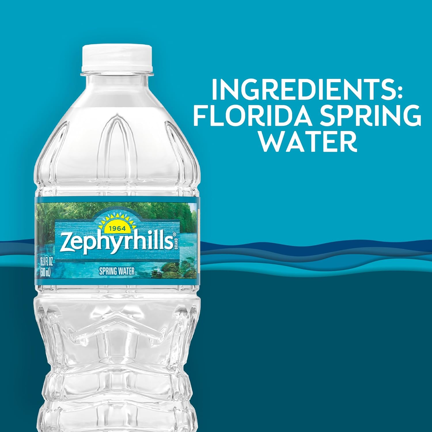 Zephyrhills Florida Spring Bottled Water, 24 Pack - Still Drinking Water with Naturally Occurring Minerals for Taste - 16.9 Fl Oz