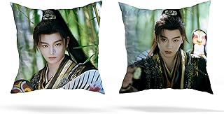 Opera Troupe 永夜星河 丁禹兮 ディンユーシー 両面プリント 抱き枕 枕 クッション ぬいぐるみ (A)