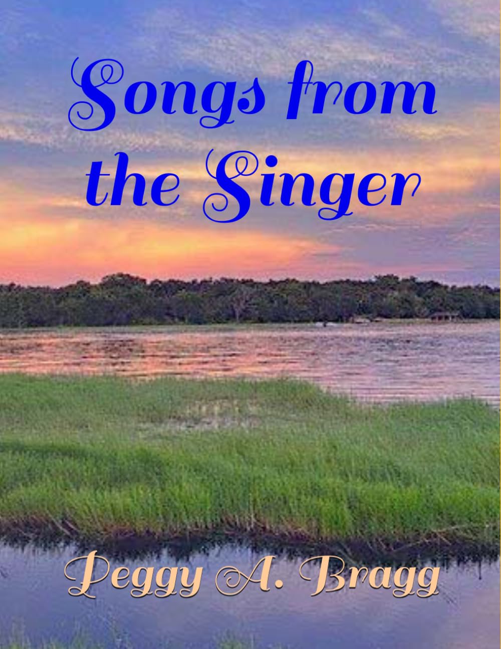 Songs from the Singer
