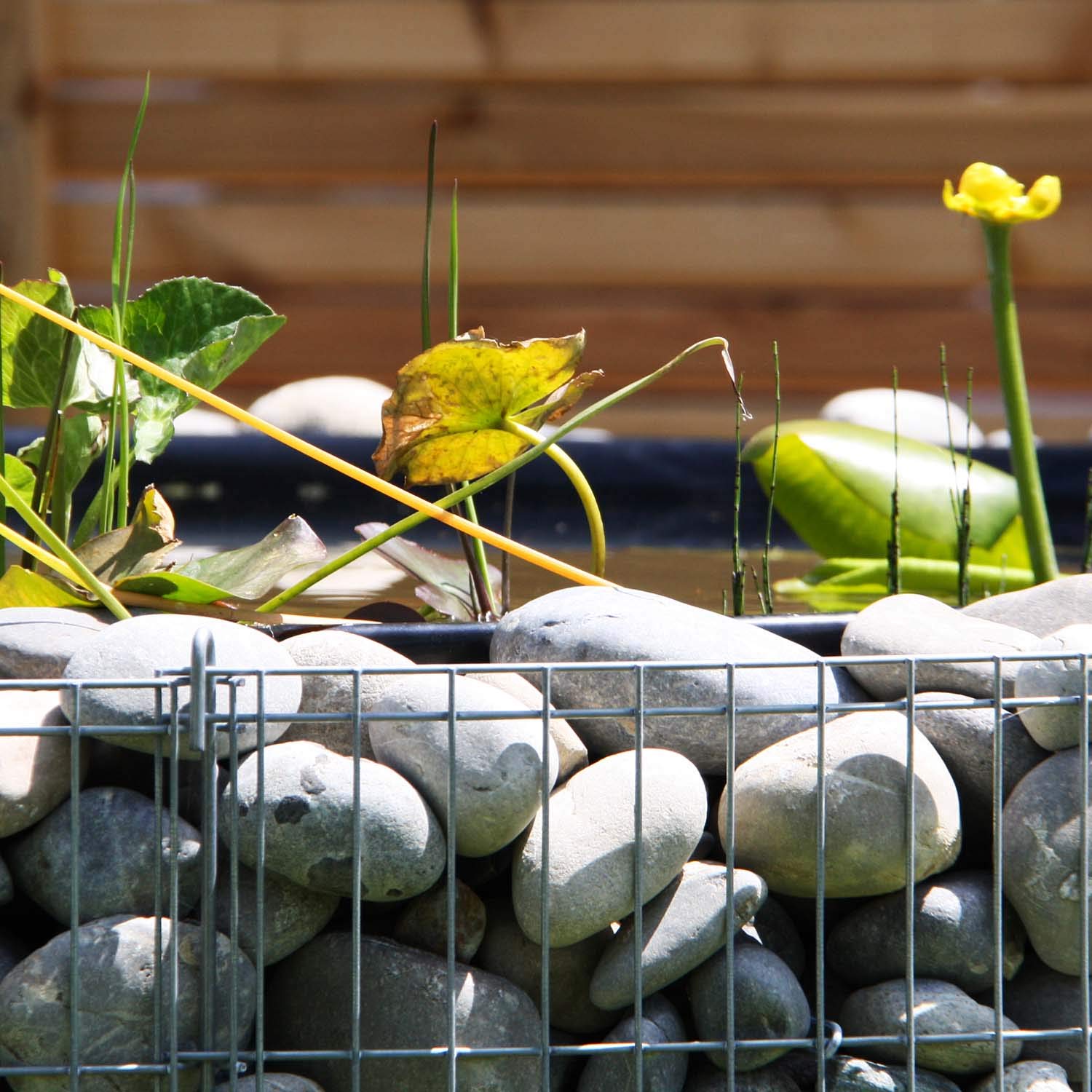 bellissa bassin surélevé en gabion - 95577 - bassin de jardin, bâche de bassin et film de séparation inclus - diamètre 146/126 cm, hauteur 40 cm