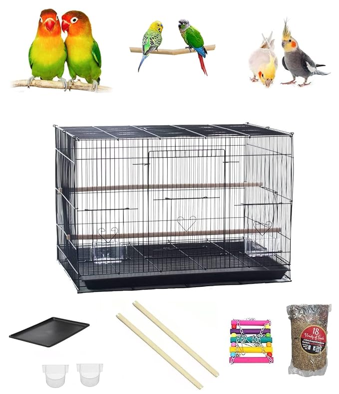 petsmart bird playground