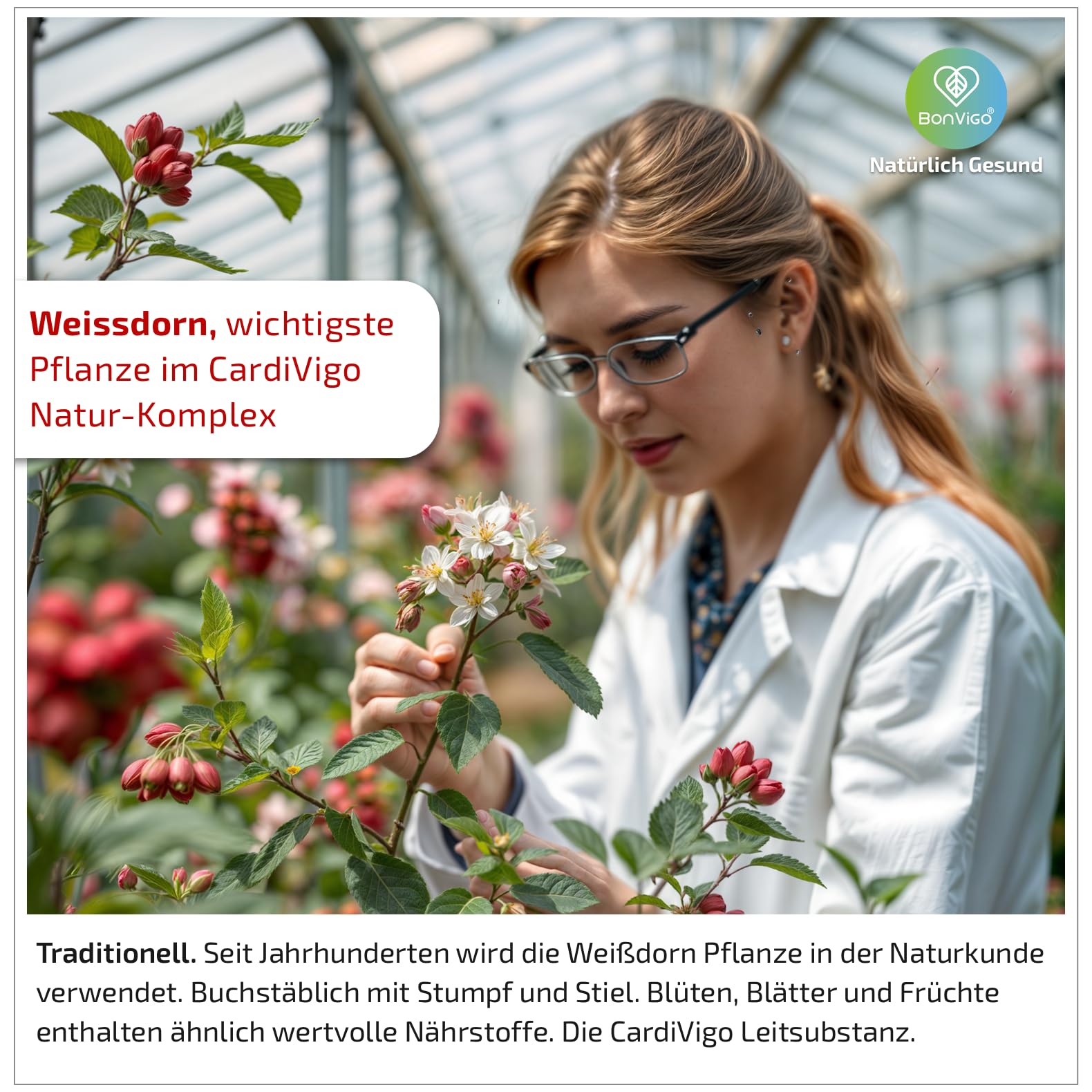 CardiVigo mit Thiamin für normale Herzfunktion. Plus Weißdorn, Q10 | Folat für normale Blutbildung & Vitamin C zu normaler Kollagenbildung für normale Funktion der Blutgefäße & Pflanzenextrakte