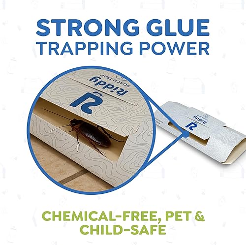 Miniatura 4 de Riddy Trampas para cucarachas, trampa de base adhesiva no tóxica para cucarachas alemanas, americanas y orientales, estación de pegamento plegable