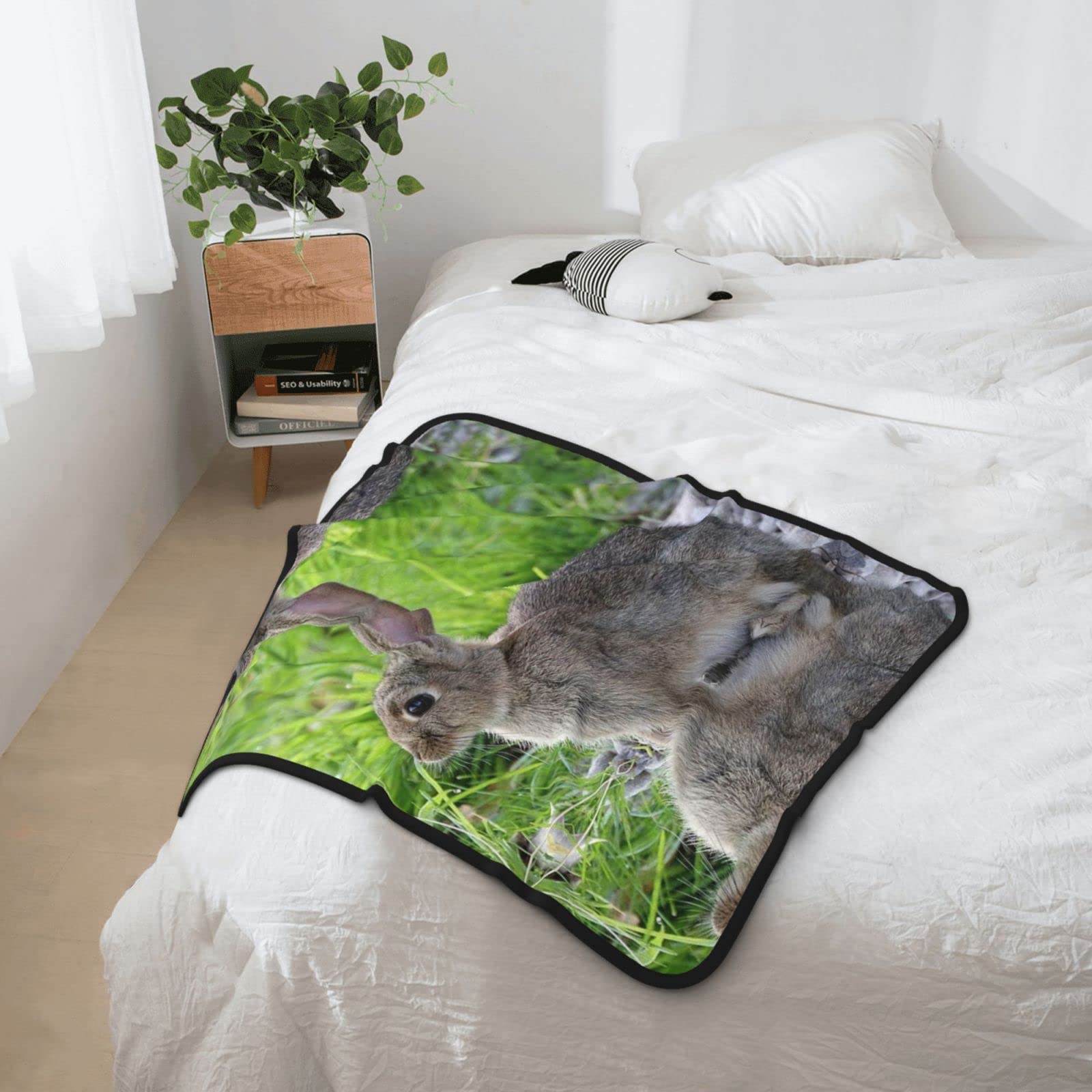 0622-8 DOUBLE BLANKET / HARE ダブルブランケット / DOUBLE BLANKET / HARE ダブルブランケット / ハレ