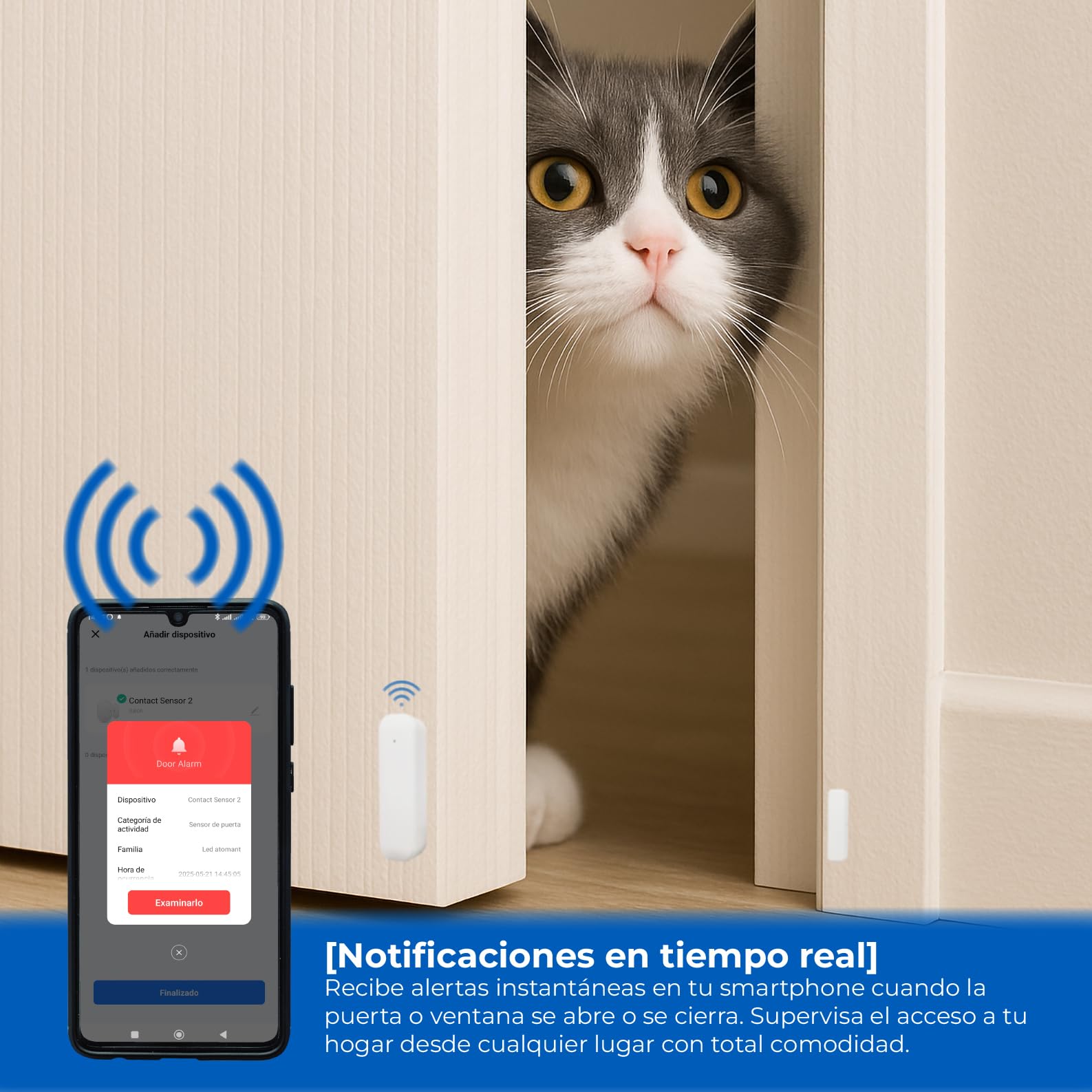 LED ATOMANT 4X Capteur Ouverture Porte et Fenêtre WiFi avec Alerte Mobile