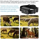 Ver la foto 7