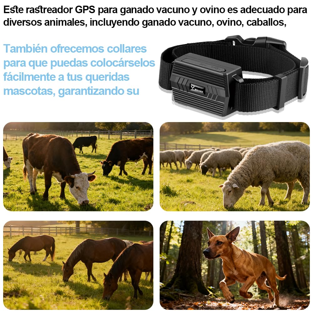 Winnes GPS-Tracker für Kuh/Pferd/Schaf/Kamel, IP66, wasserdicht, Echtzeit-Tracking, GPS-Tracker für große Tiere (TK935)