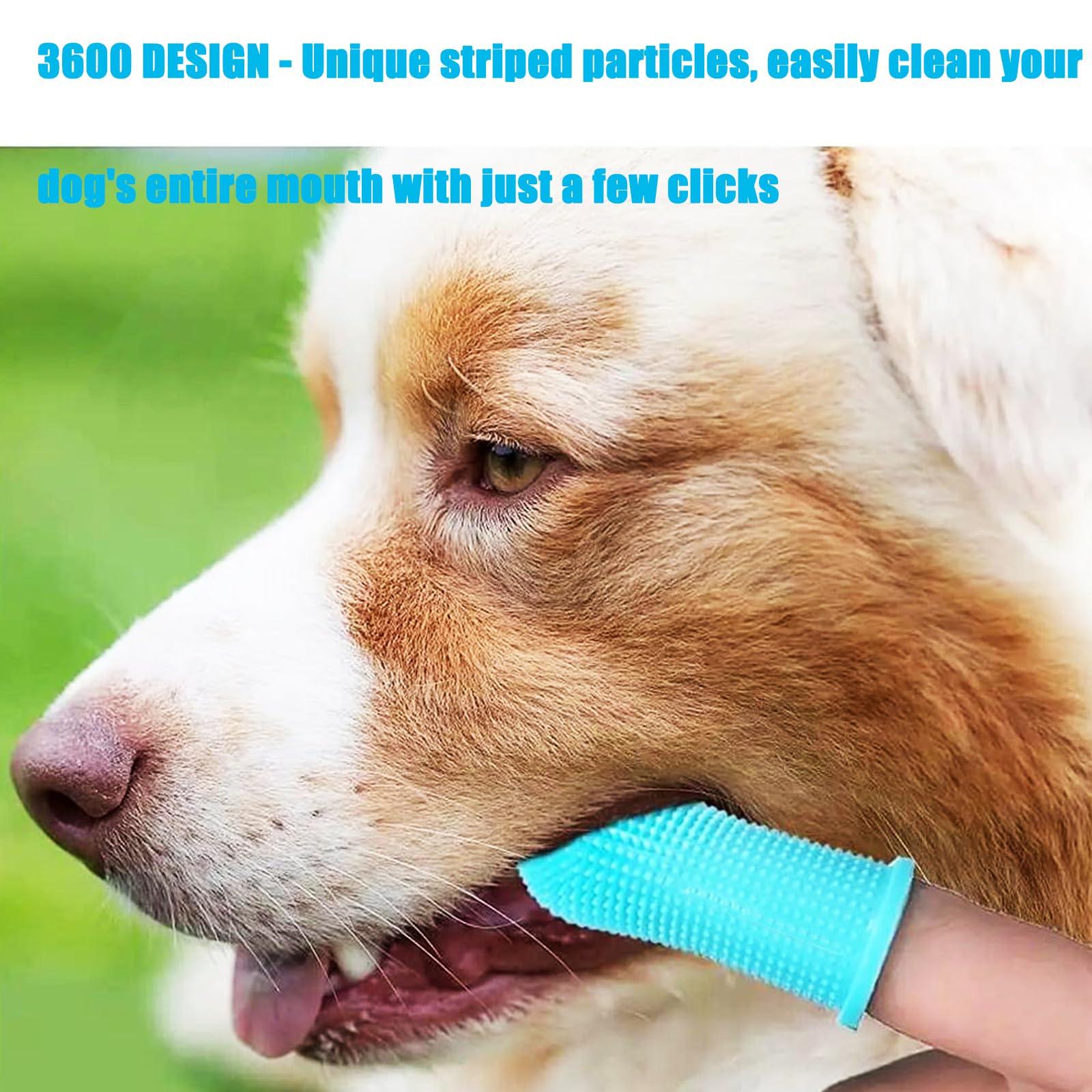 32Pcs 4Colors Dog Finger Toothbrush Set of 32 Silicone Pets Teeth Cleaning Toothbrush Kit 360º Finger Toothbrush for Dogs & Small Pets Dental Care - Image 3