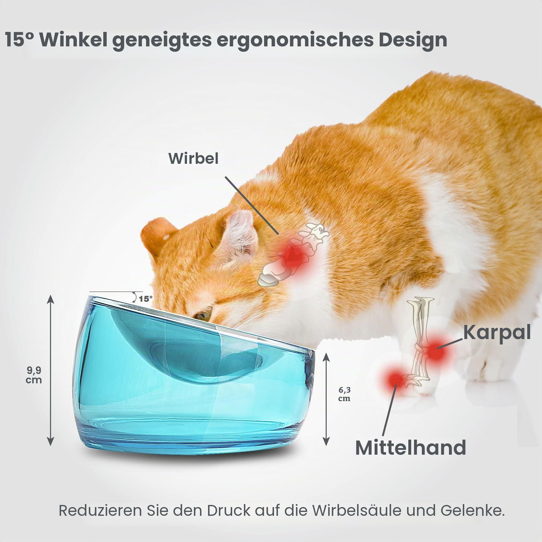Felli Pet Oblik Schnurrhaar, Müdigkeit, Katzennapf, Edelstahl, Flacher, Flacher Teller für trockenes Nassfutter, erhöhter Acrylboden mit Leckerli-Aufbewahrung, Anti-Erbrechen, Rutschfester