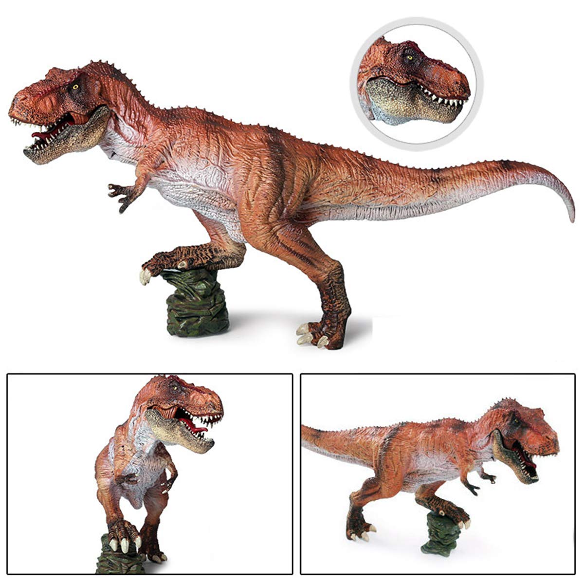 【塗装済完成品】即購入歓迎 バンダイ ティラノサウルス 1/32スケール Amazon | Eden Toys ティラノサウルス 恐竜 プラモデル 模型