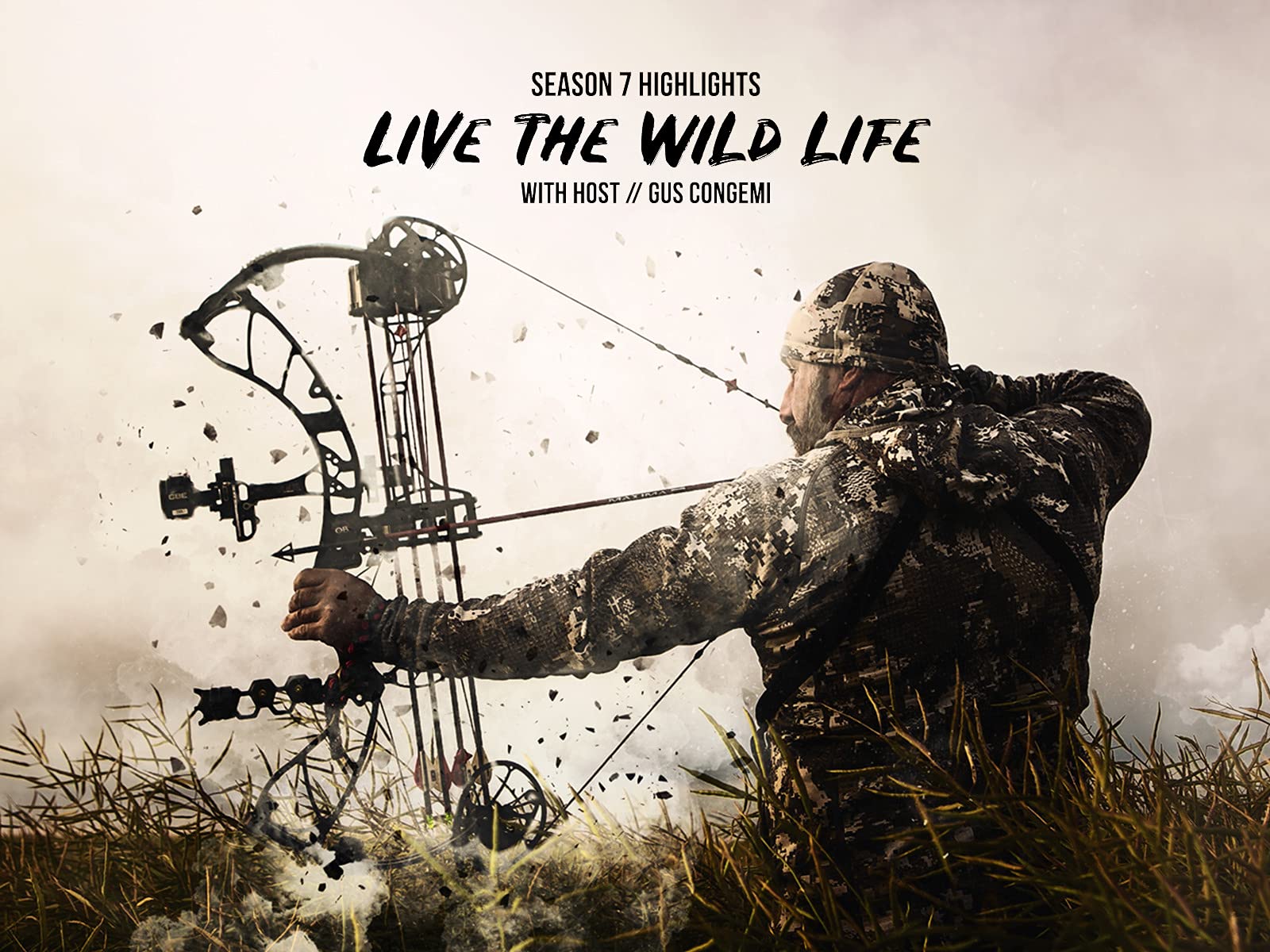 Watch Live The Wild Life Prime Video Watch Live The Wild Life Prime Video