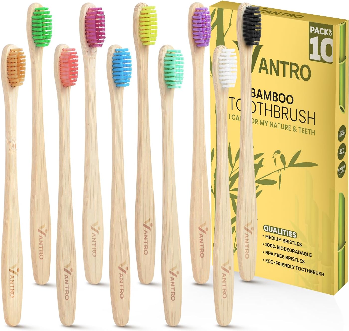 Bristles BPA-Free — Buying Guide, Pros & Cons