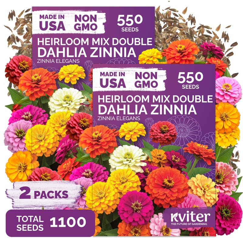 1,100 Dahlia Zinnia Heirloom Flower Seeds for Planting, Zinnia Elegans