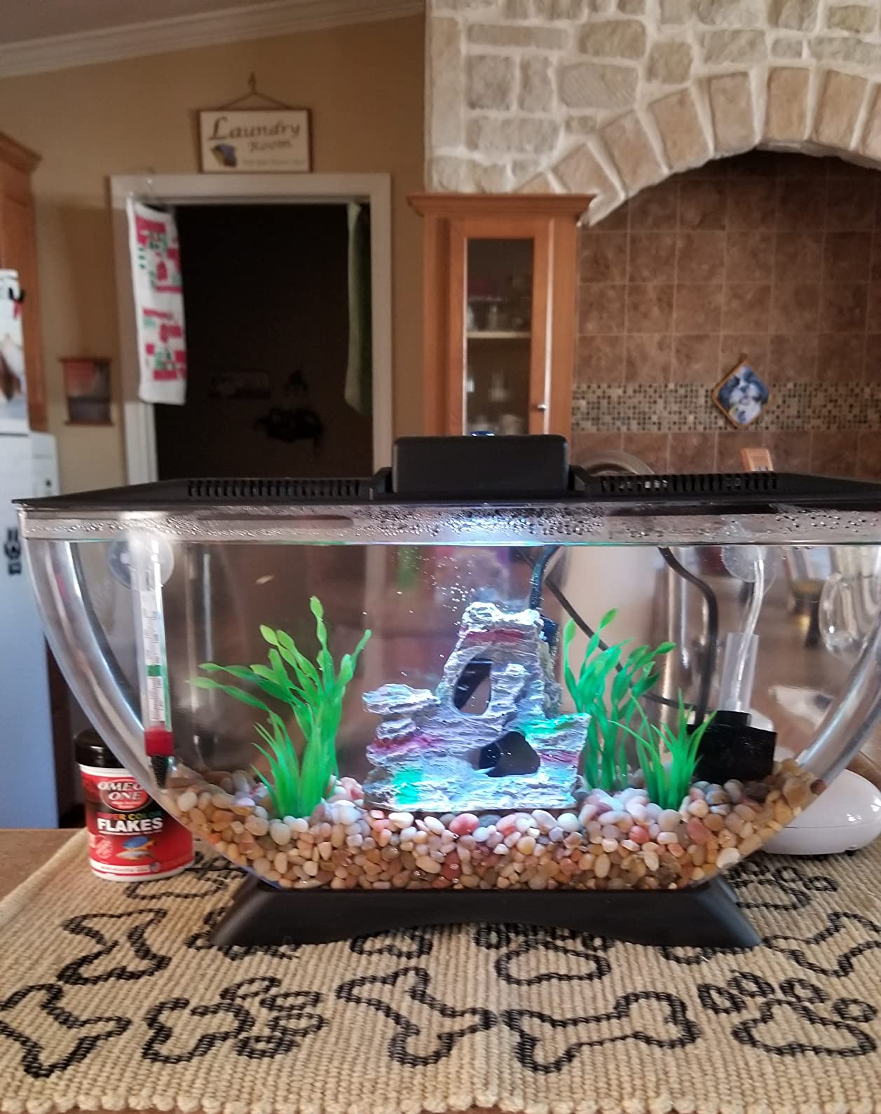 6/mo Finance BettaTank 1Gallon Deco Fish Tank with LED Lighting