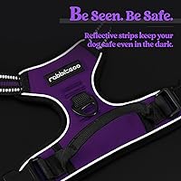 Vista 7 de rabbitgoo Arnés para perro, arnés sin tirones para mascotas con 2 clips para correa, chaleco acolchado suave ajustable para perro, chaleco Oxford