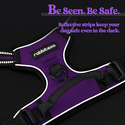 Miniatura 7 de rabbitgoo Dog Harness No Pull with 2 Leash Clips, Adjustable Soft Padded, Reflective Oxford No Choke Pet Vest with Easy Control Handle for Small