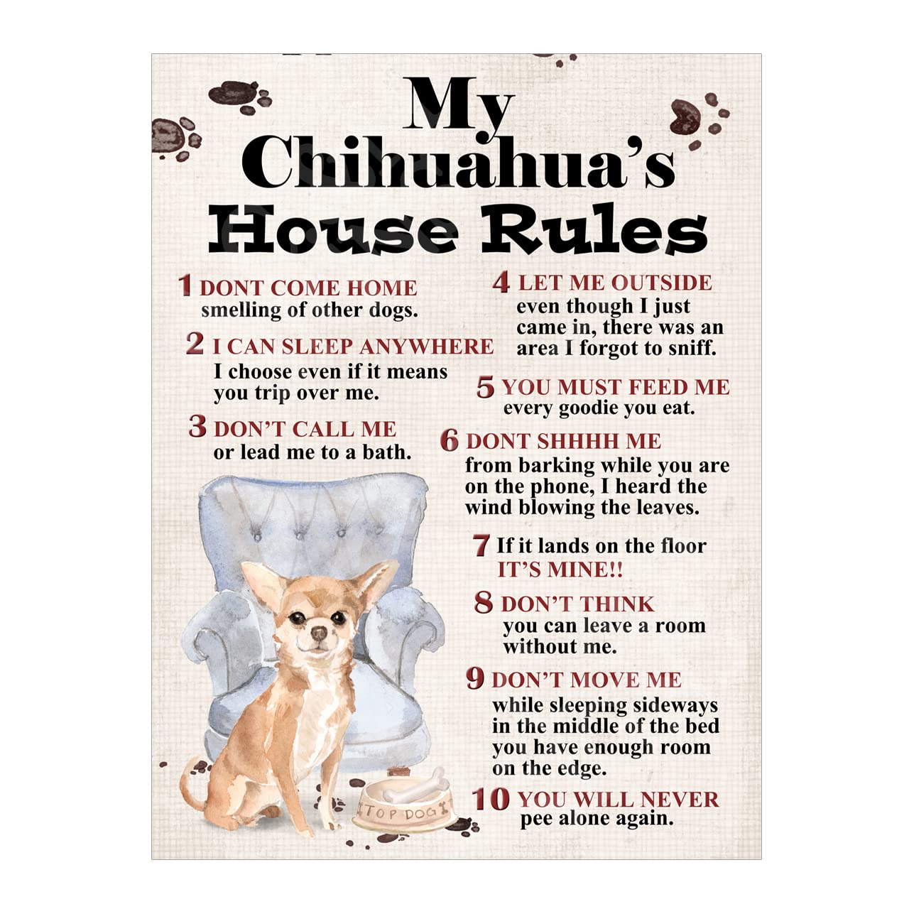 Metal Sign Dog Plaque My Chihuahua's House Rules 8x6in Ref8199