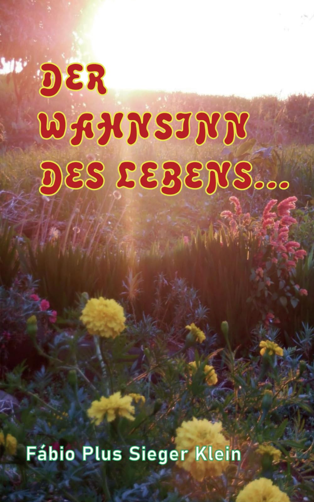 DER WAHNSINN DES LEBENS...