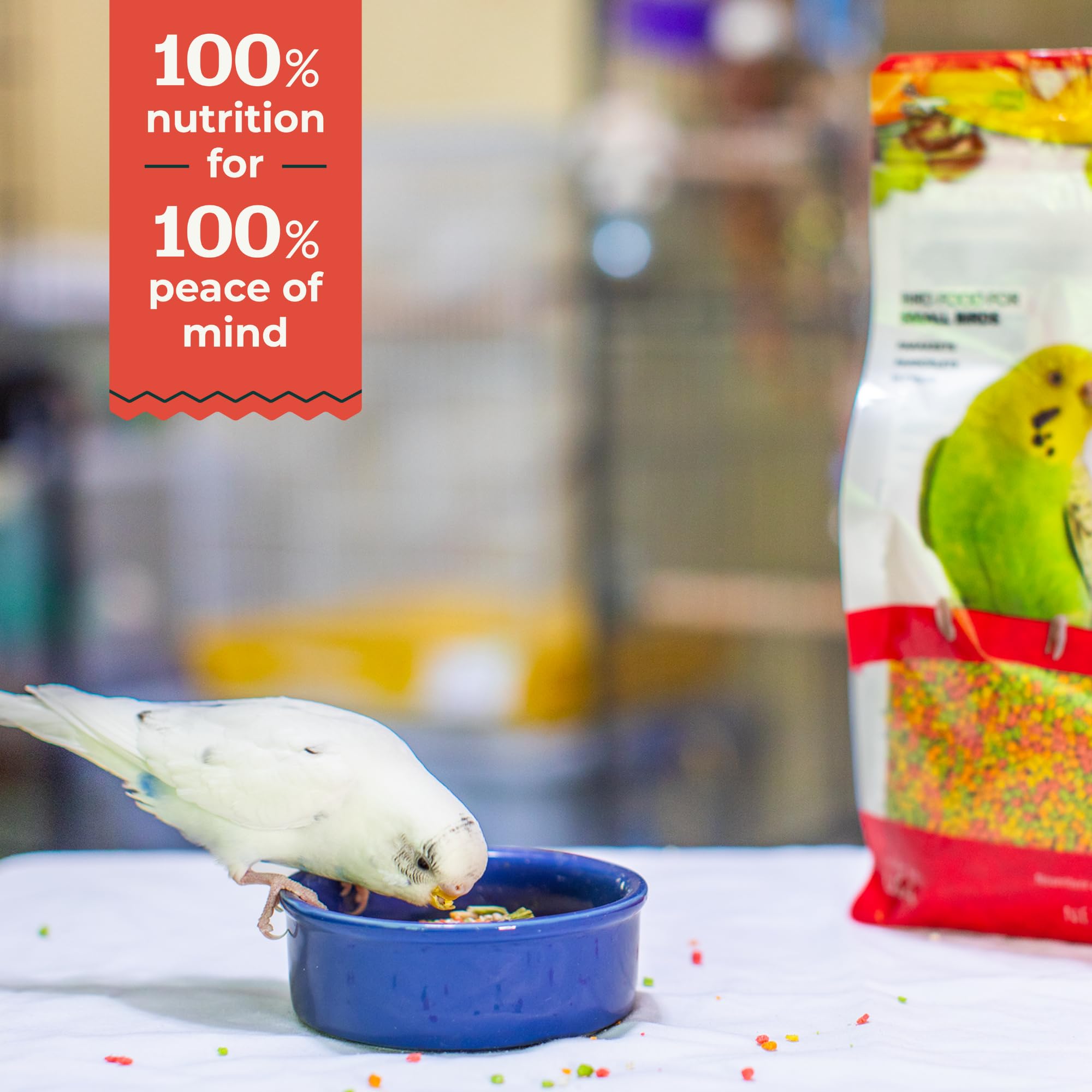 Zupreem Multifrutas Alimento para Aves de Compañía - Frutas y Vitaminas - Pienso para Pájaros Indicado para Periquitos, Periquitos Australianos, Loros Pequeños y Otros Pájaros Pequeños - 1 kg
