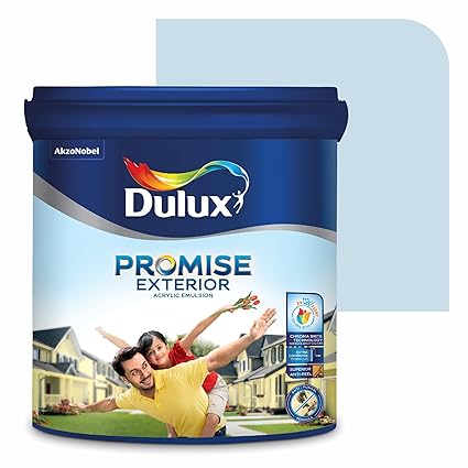 Dulux Promise Exterior Emulsion Paint (4L, Skier'S Trail) | Ideal for Exterior Walls | Smooth Finish | Anti-Peel & Anti-Crack | Long-Lasting Colors