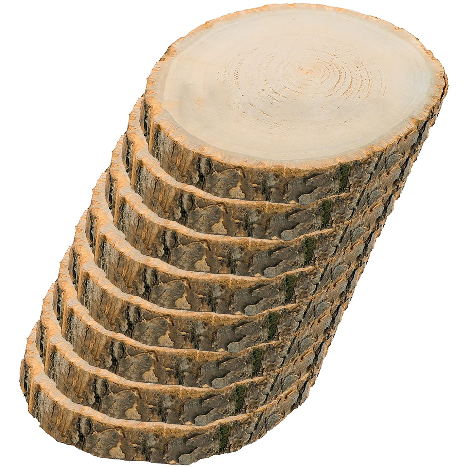 Discos de madera natural para bricolaje, manualidades, decoración de bodas, 12 – 38 cm de diámetro (30 cm – 8 unidades)