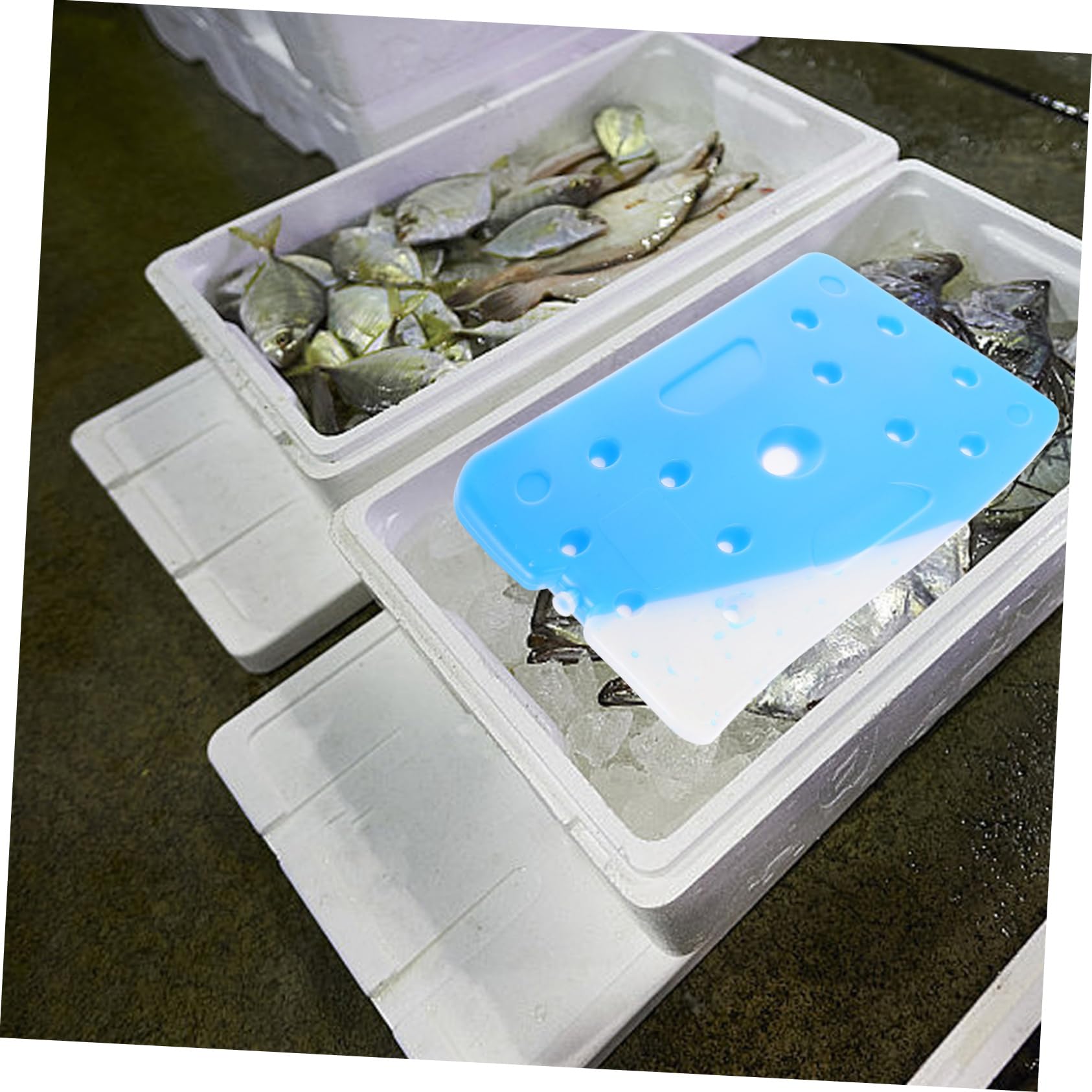 BESPORTBLE Bloc de Glace Réutilisable 1500ml en PE Bleu pour Glacière